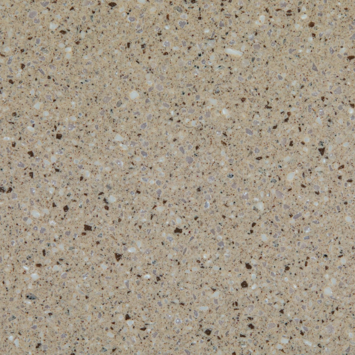 PM 879 Collina Mirage scaled 1