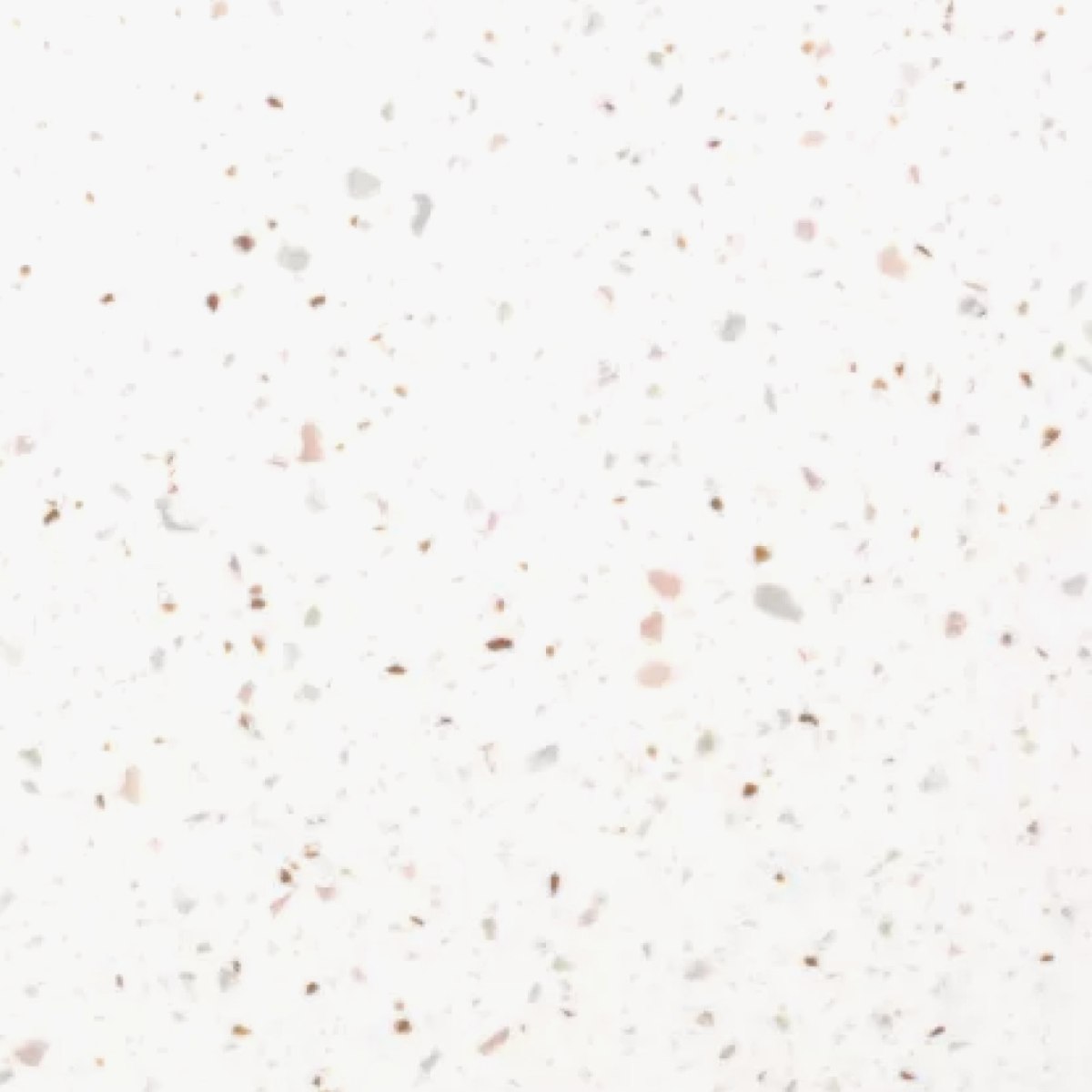 Terrazzo Marsala