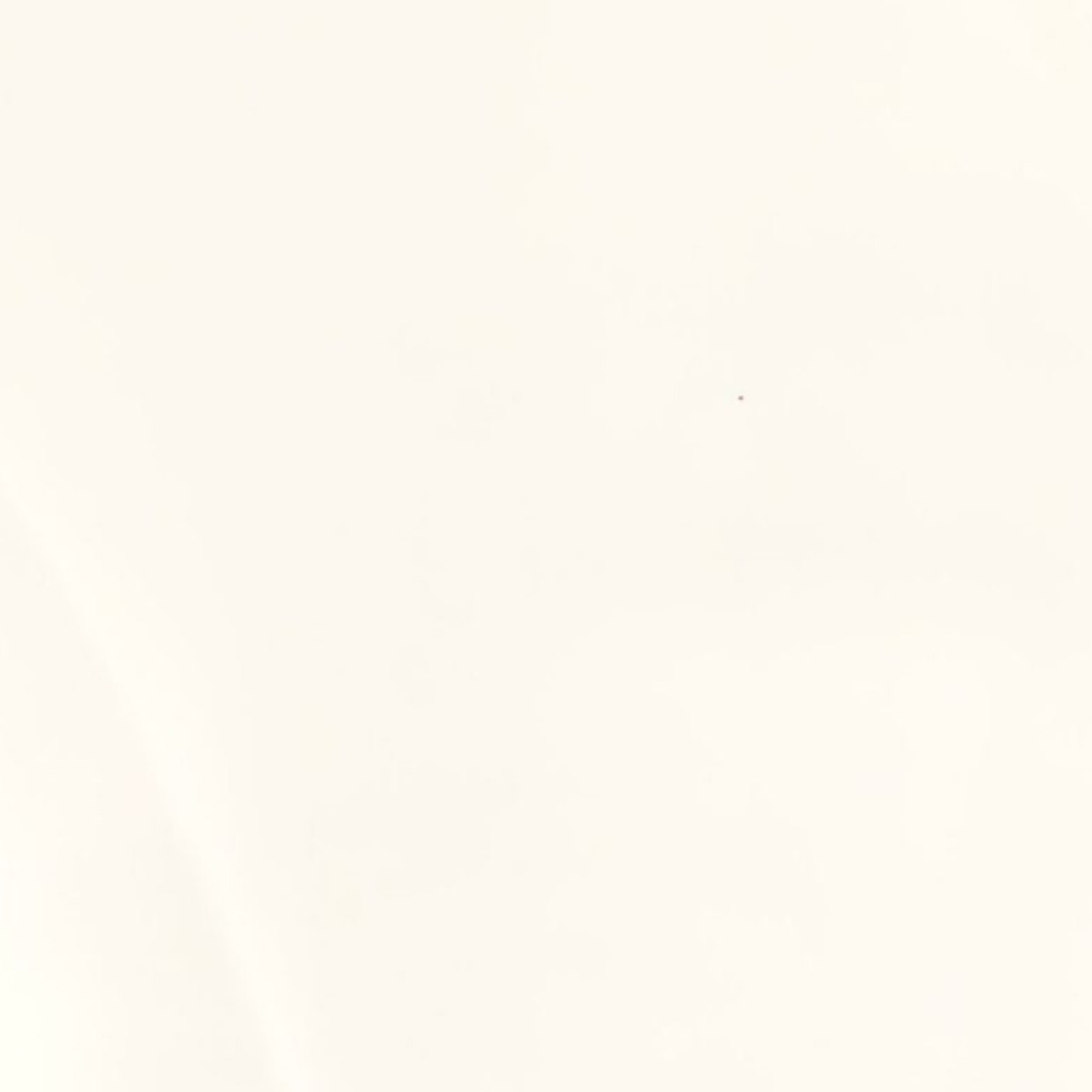 Venaro White