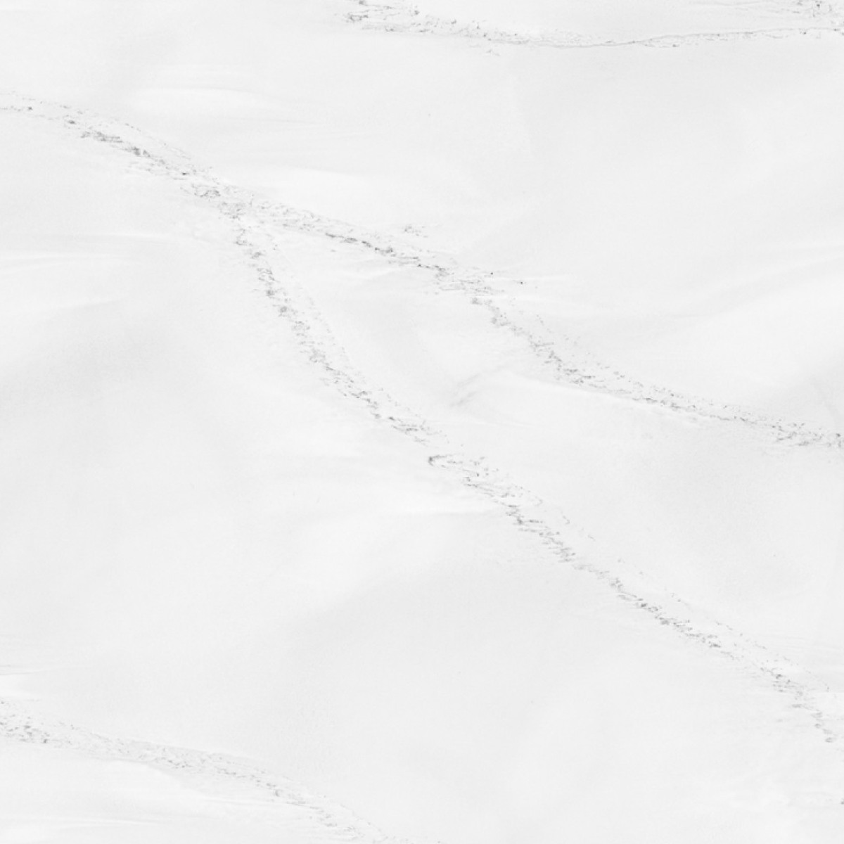Venato Blanc