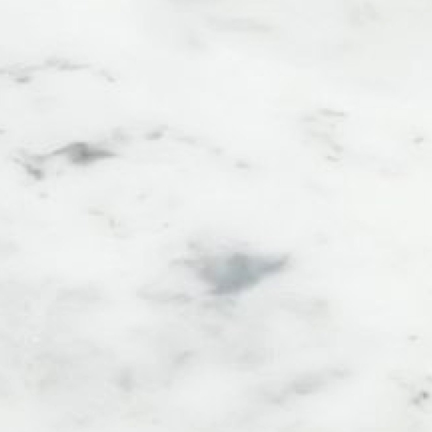 minerva® Carrara White CA Veined decor jpg minerva® Carrara White CA Veined decor jpg